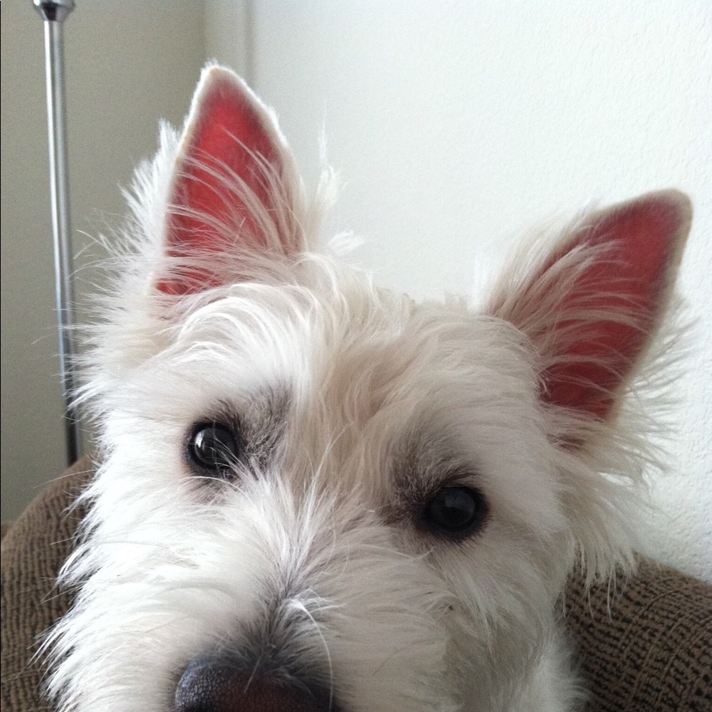 Meet your Posher, Katherine